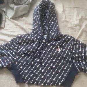 champion women’s sweatshirt